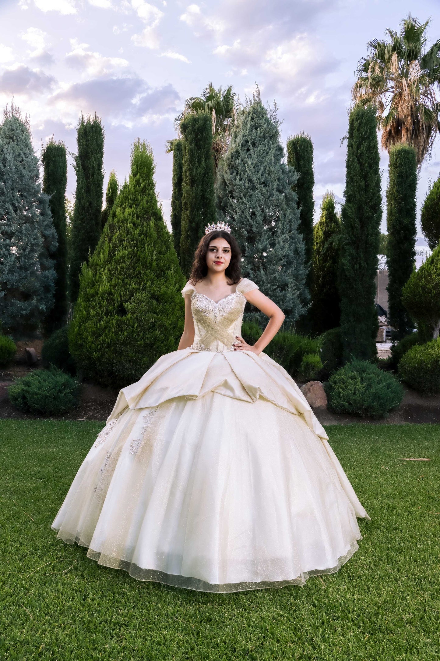 26833 Referencia de Modelo